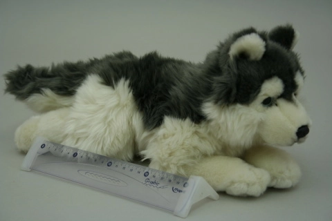 Plyšový husky 35 cm