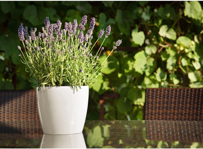 Vhodná do interiéru i exteriéru