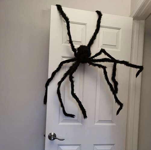 Ohebné nohy s drátky pro snadné aranžování
