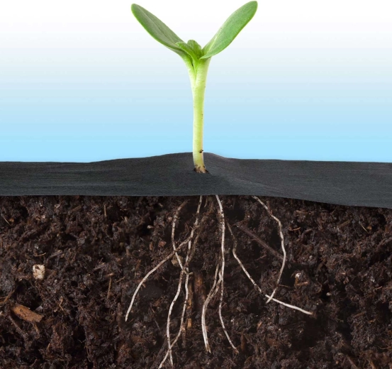 Prodyšná a vodopropustná pro zdravé kořeny