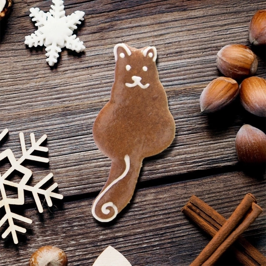 Kreativní zdobení na svátky i celý rok