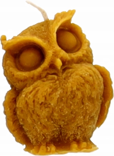 Věrné detaily sovy