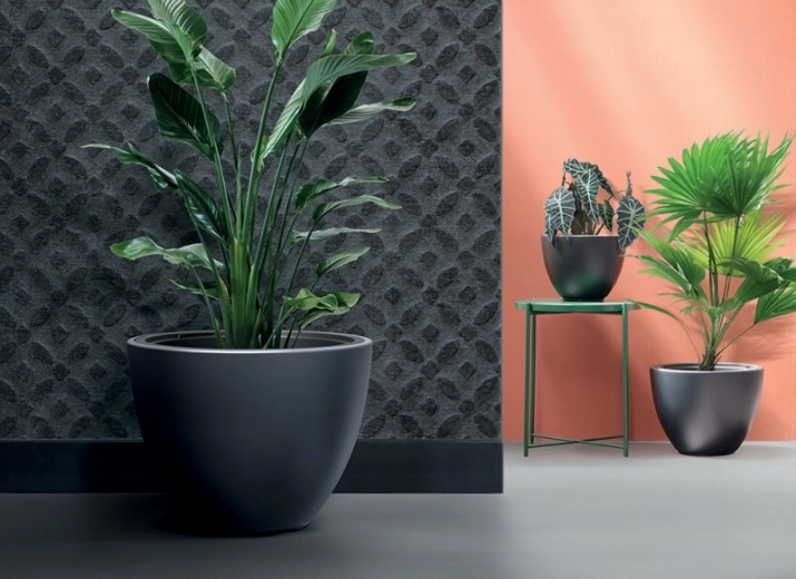 Moderní minimalistický vzhled