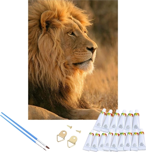 Motiv lva a rám pro okamžité zavěšení