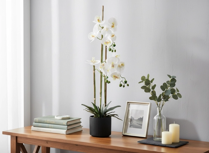 Ideální výška 77 cm