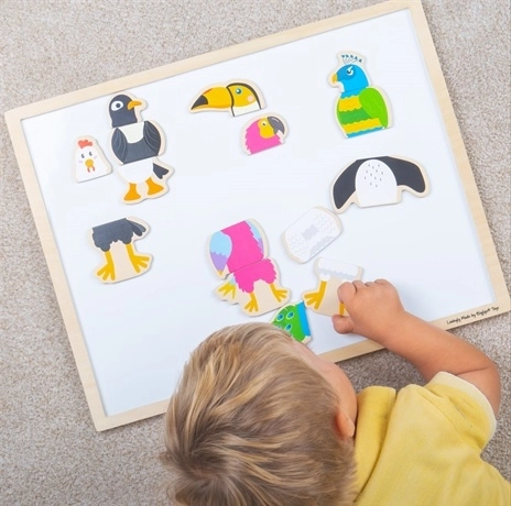 Dřevěné magnetky Ptáčí přátelé BIGJIGS TOYS