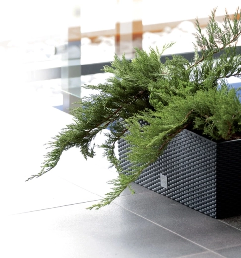 Odolný plast s UV ochranou