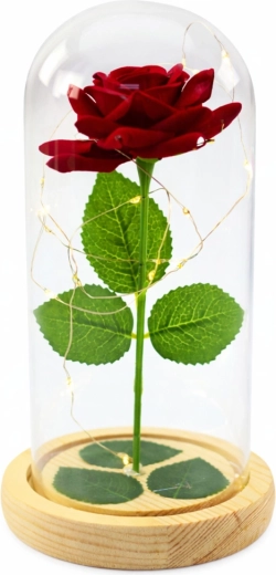 Elegantní ochranná kopule