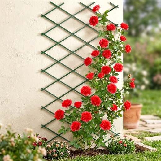 Elegantní opora pro růže a další popínavky