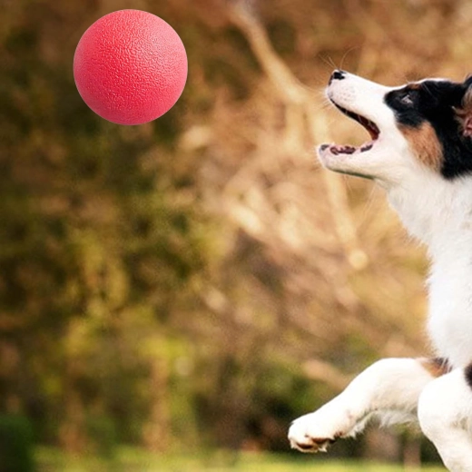 Odolná plná guma pro intenzivní žvýkání