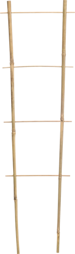 Dvojitá bambusová opora pro popínavé rostliny 45 cm