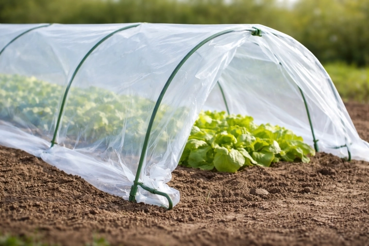 Teplé mikroklima a ochrana po celý den