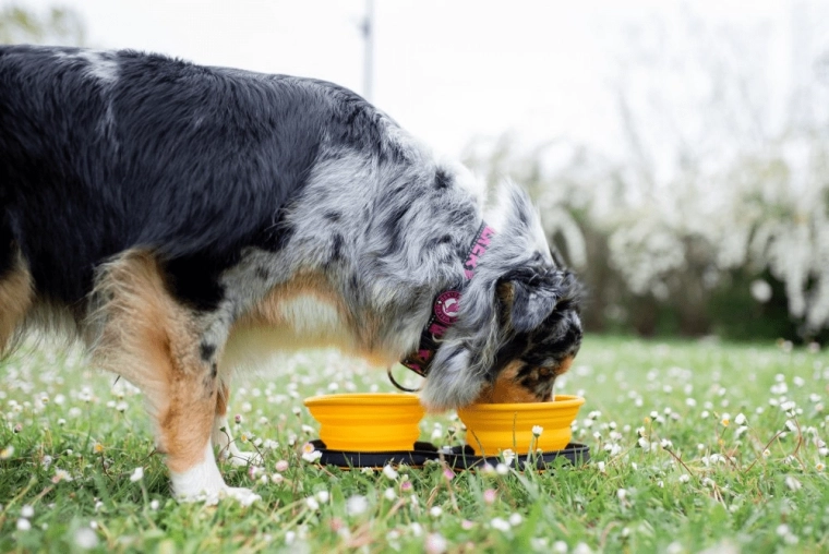 Rychlé použití kdekoliv