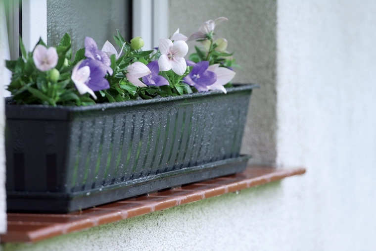 Ideální pro okna, balkony i terasy