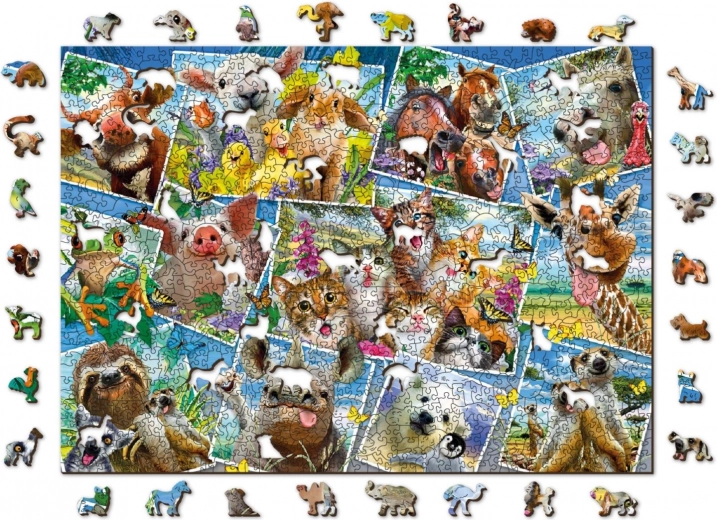 Barevná koláž zvířat – krásná dekorace po složení