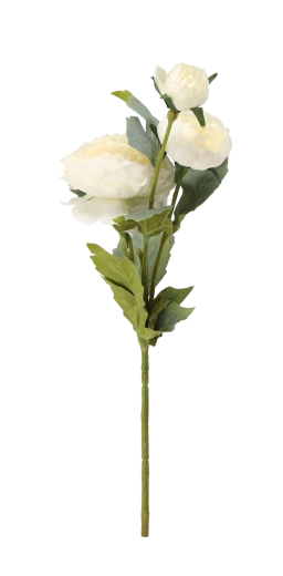 Ideální do vázy i aranžmá