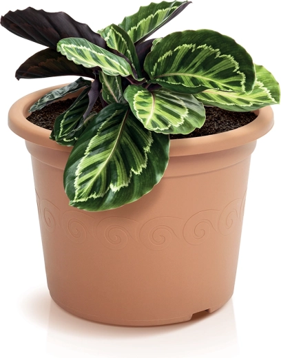 Dekorativní terakotový vzhled