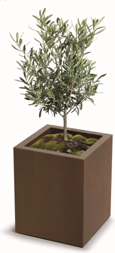 Ideální pro středně velké rostliny