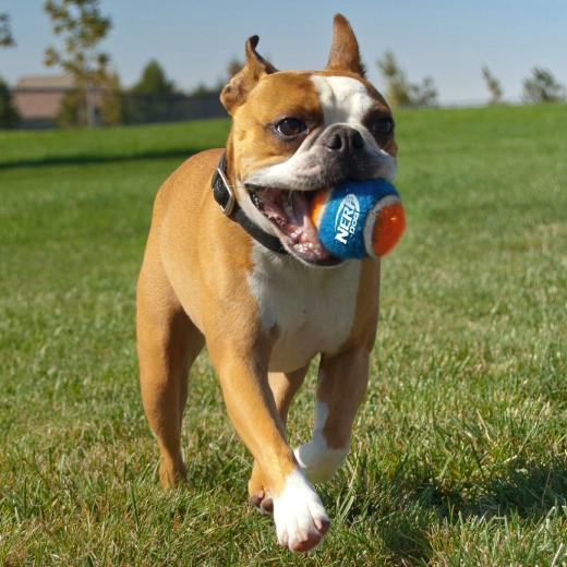 Vysoká odolnost a skvělý odraz