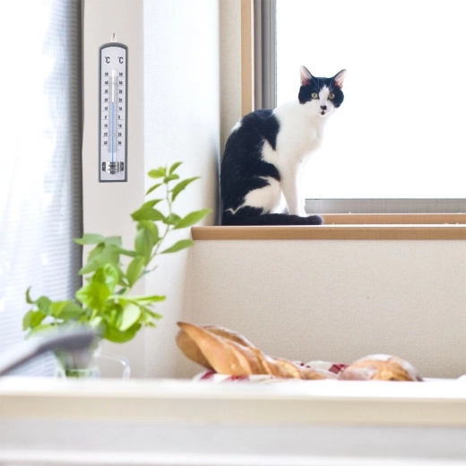 Elegantní dřevěný design