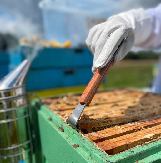 Snadné páčení a zvedání rámků