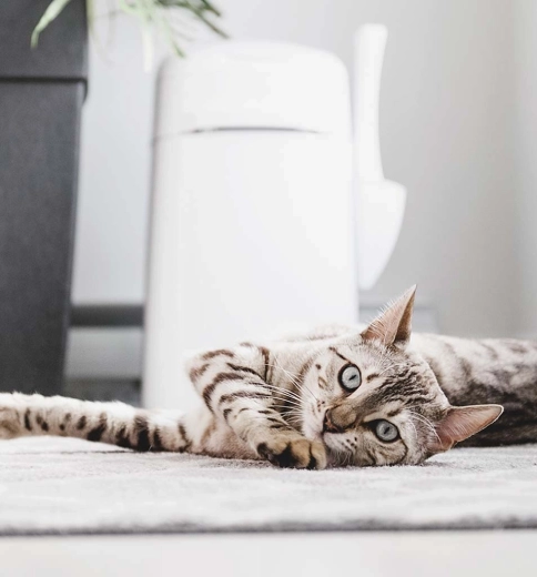 Praktické příslušenství a přenos