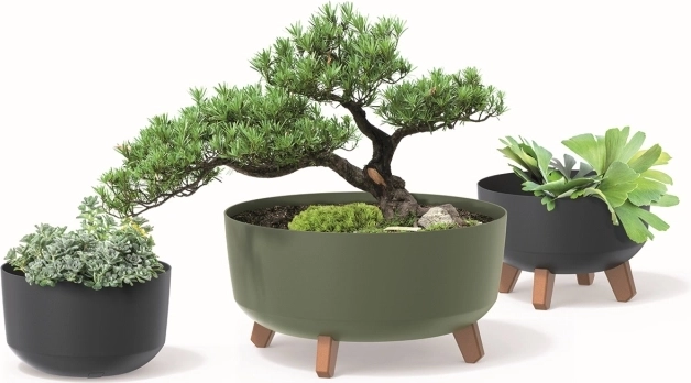 Ekologická kolekce ECO WOOD