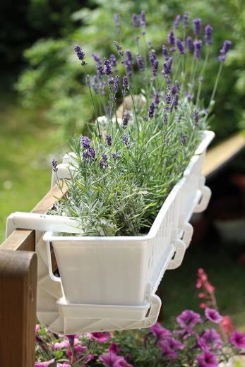 Bezpečné uchycení s nastavitelným šroubem