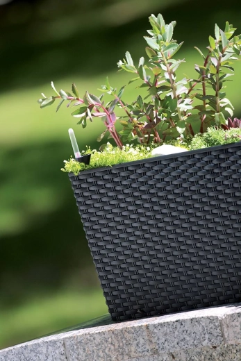 Styl ratanového výpletu pro moderní vzhled