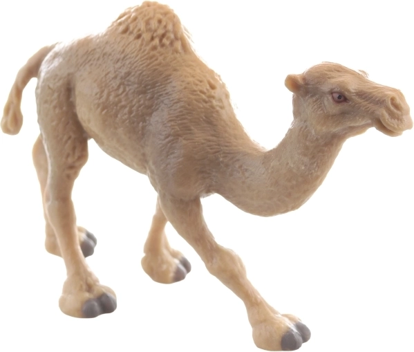 Odolný plast a stabilní postoj