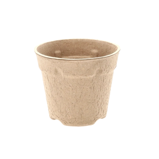 Ideální pro předpěstování