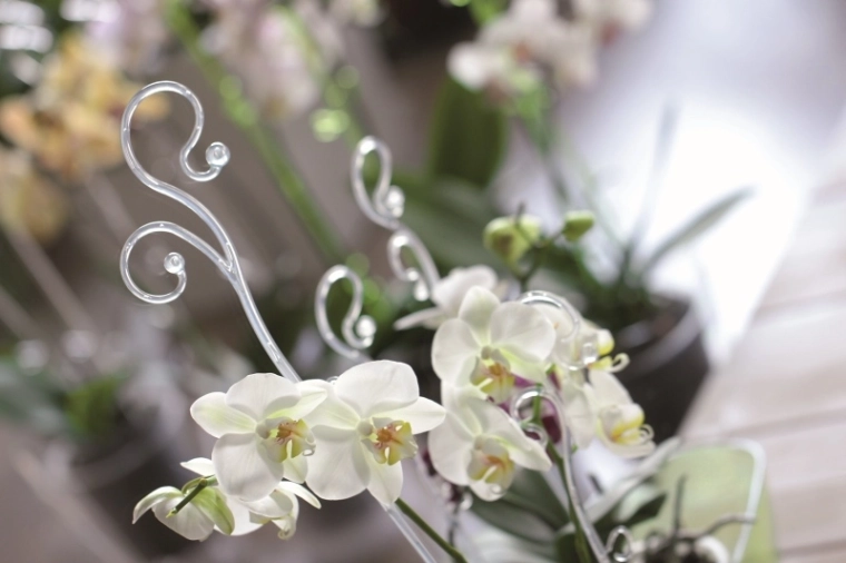 Dekorativní opora, která zvýrazní krásu květů