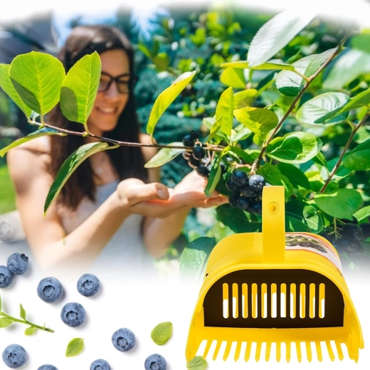 Čistší úroda bez listí