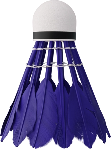 Rychlý a stabilní let s kachními pery