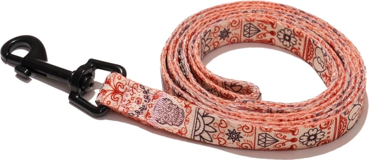 Explorer Dog vodítko srdce S 120 × 1,5 cm