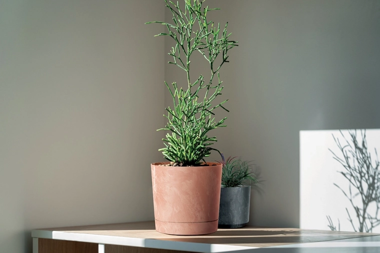 Vhodný do interiéru i exteriéru