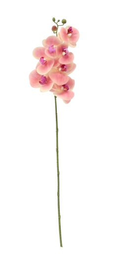 Délka 74 cm pro elegantní aranžování