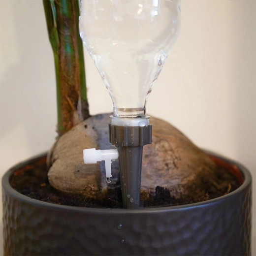 Stabilní ukotvení v květináči