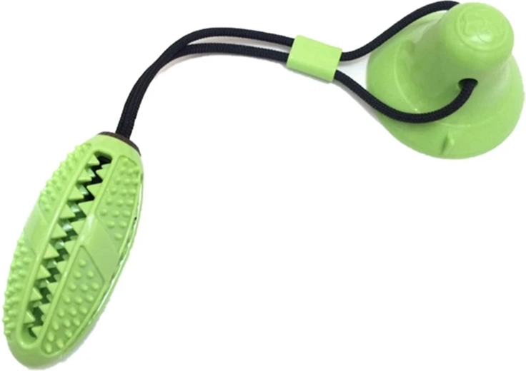 Čištění zubů a masáž dásní