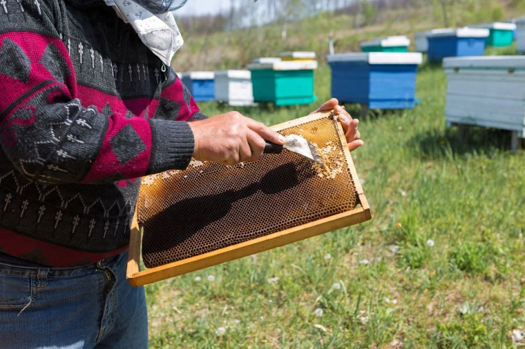 Ideální do každé včelnice