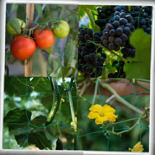 Univerzální použití na zahradě i ve skleníku