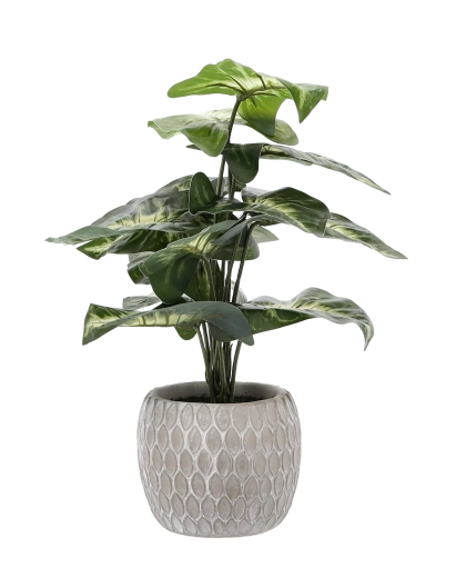 Stylový a stabilní květináč