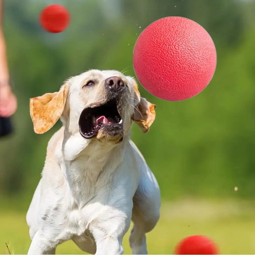 Šetrný k zubům a podporuje dentální hygienu