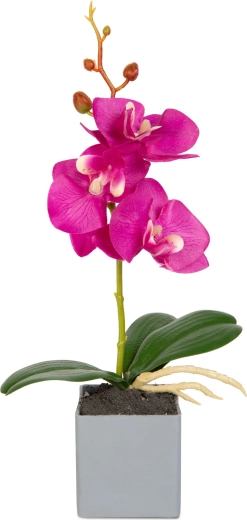 Realistický vzhled orchideje