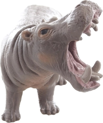 Ideální pro učení o zvířatech