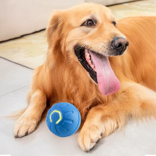 Odolný a bezpečný design pro zuby i tlapky