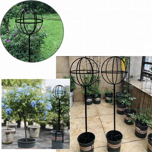 Ideální do květináčů i záhonů