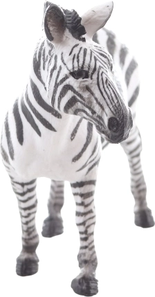 Ideální do výuky i sbírek