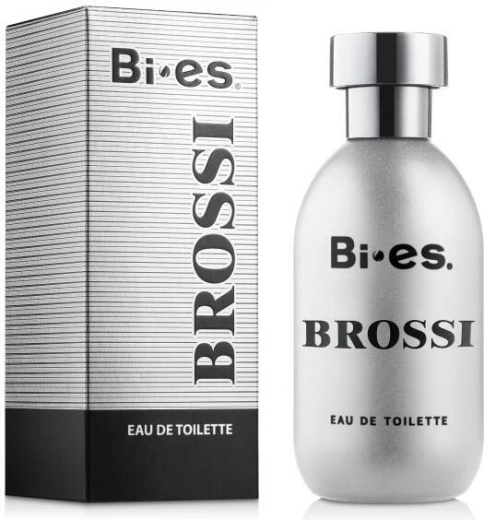 Pánská toaletní voda BI-ES Brossi 100 ml