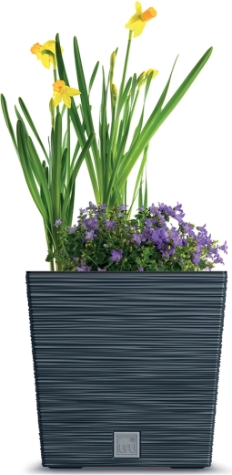 Pro rostliny uvnitř i venku